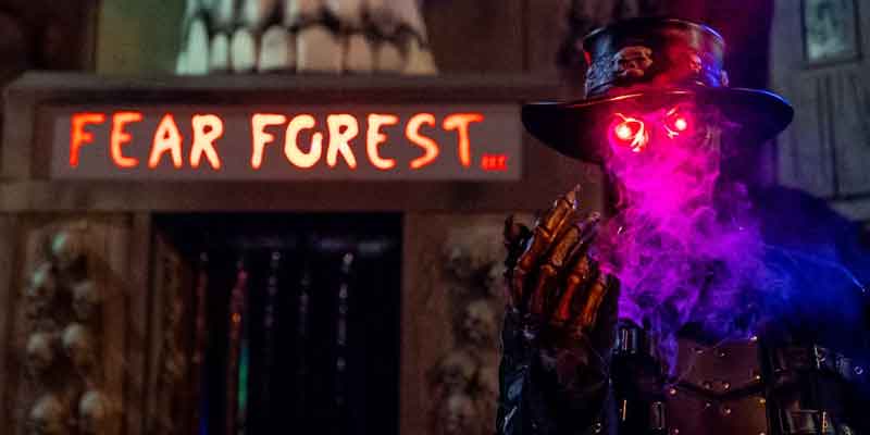 Fear Forest